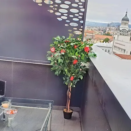 Cozy Penthouse In A New Business Building In City Center. Free Private Parking Κλουζ-Ναπόκα